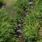 Thomas Muentzer 2* Steinheid