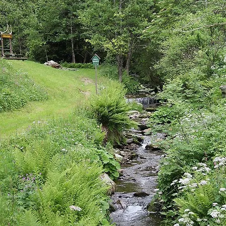 Penzion Thomas Muentzer Steinheid