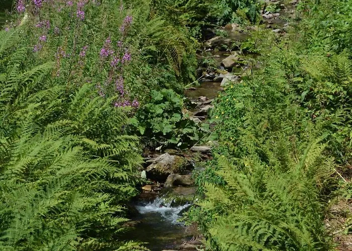 Thomas Muentzer 2* Steinheid